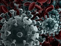 Tambah 6.731,kasus positif Corona di RI 4 April Jadi 1.534.255