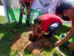 Sahabat Bumi, Alfamart Tanam 15.000 Pohon untuk Indonesia