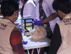 Vaksin Rabies Gratis Animal Care Disambut Antusias Pengunjung Makassar F8