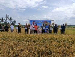 FFD Program CSA Kementan, Mampu Tingkatkan Produktivitas Petani Konawe